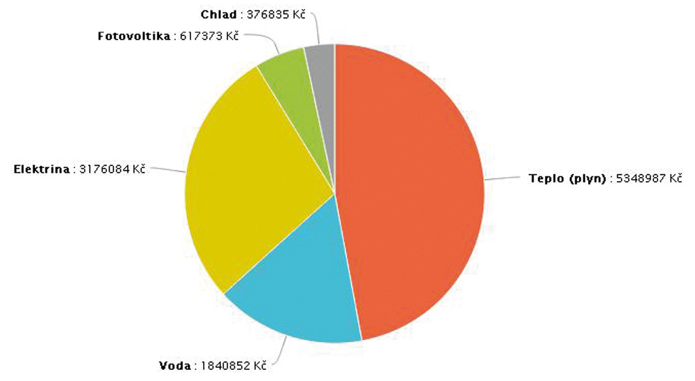 Dosiahnuté úspory pri jednotlivých druhoch energií v roku 2011
